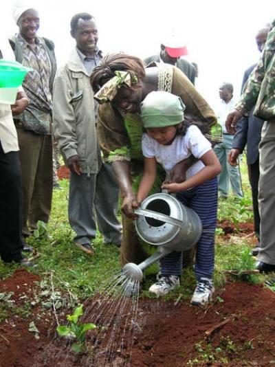 Wangari Maathai planting trees in the degraded Aberdare Forest, Kenya. Photo: Lisa Merton