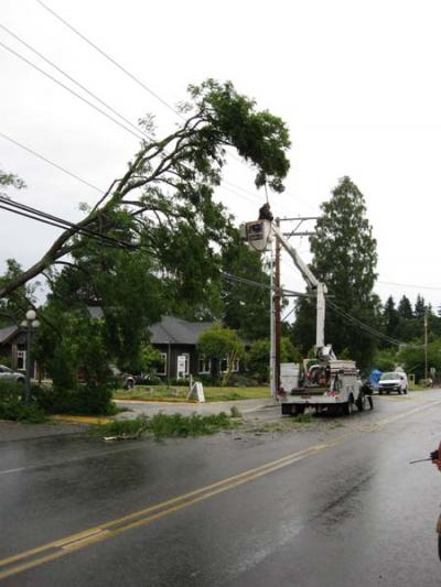 A tree falls across Vashon Highway at Vashon Village knocking out power